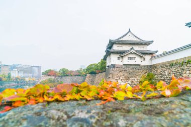 Osaka Kalesi, güzel mimari 