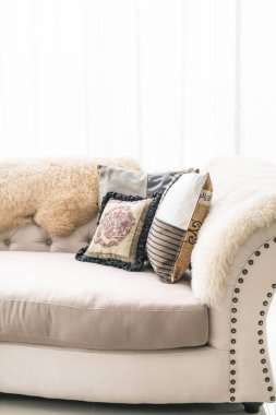 Kanepe üzerinde güzel yastık