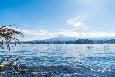 Dağ Fuji San Kawaguchiko Gölü.