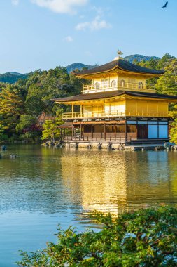 Kinkakuji Tapınağı (altın köşk güzel mimari)