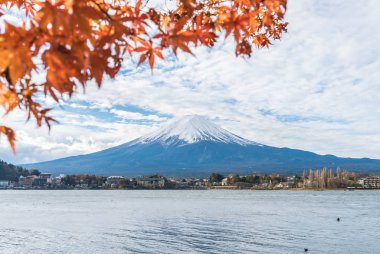 Japonya 'daki Kawaguchiko Gölü' nde Fuji Dağı..