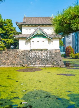 Tokyo'da bina güzel İmparatorluk Sarayı