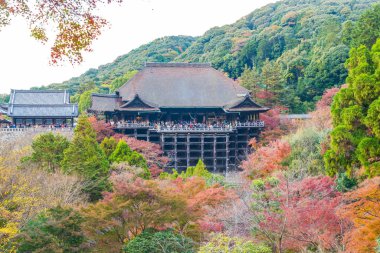 Kyoto, Sonbahar sezonu Kiyomizu veya Kiyomizu-dera Tapınağı.