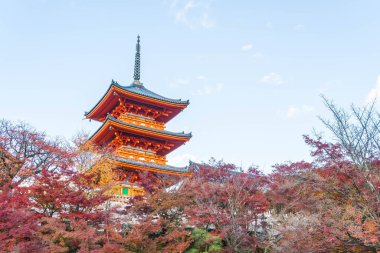 Kiyomizu-dera Tapınağı güzel mimari Kyoto,.