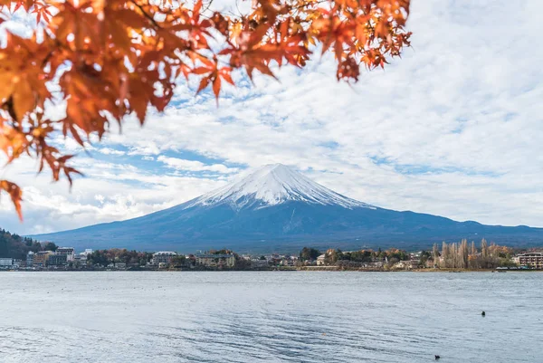 Japonya 'daki Kawaguchiko Gölü' nde Fuji Dağı..
