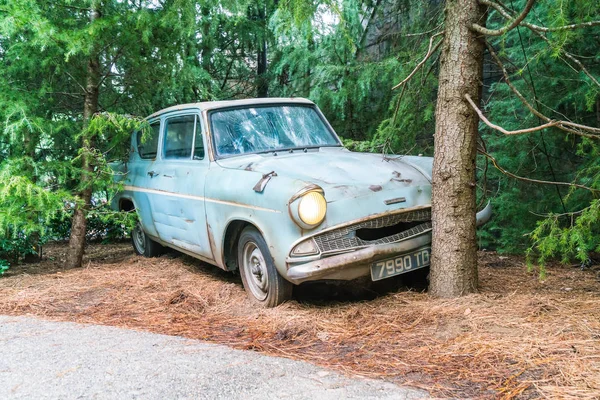 Osaka, Japonya - 21 Kasım 2016: Harry Potter ve büyücü dünya