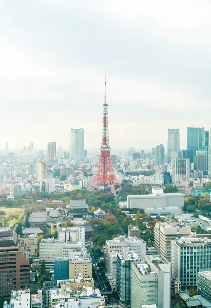 De skyline van de stad van Tokyo in de schemering — Stockfoto