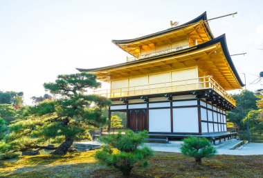 Kinkakuji Tapınağı (altın köşk güzel mimari)