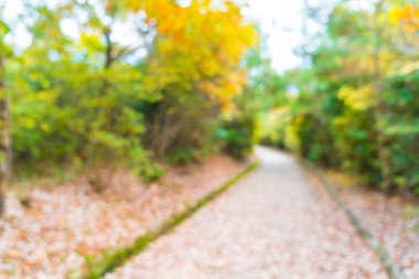 Arashiy çiçek açan soyut bulanıklık yürüyüş yolu ile kırmızı akçaağaç yaprakları