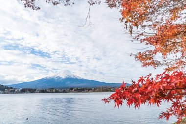 Japonya 'daki Kawaguchiko Gölü' nde Fuji Dağı..