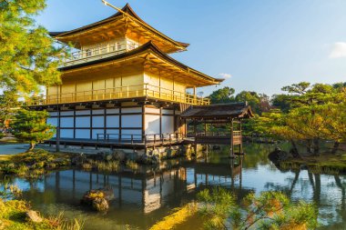 Kinkakuji Tapınağı (altın köşk güzel mimari)