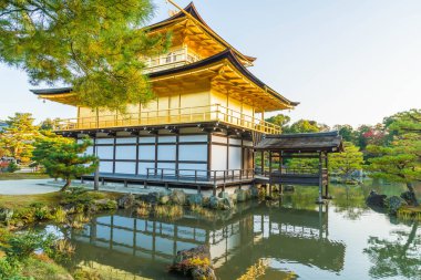 Kinkakuji Tapınağı (altın köşk güzel mimari)