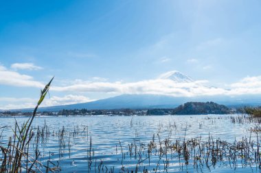 Dağ Fuji San Kawaguchiko Gölü.