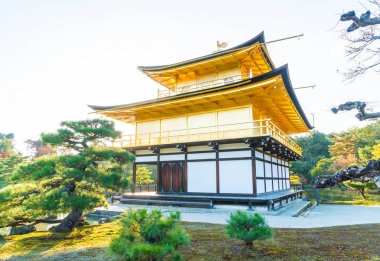 Kinkakuji Tapınağı (altın köşk güzel mimari)