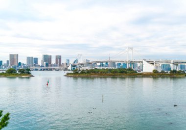 Tokyo siluetinin Tokyo kule ve Gökkuşağı Köprüsü ile. 