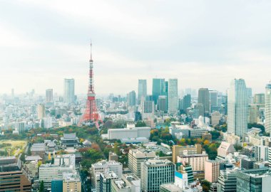 Tokyo şehir manzarası alacakaranlıkta