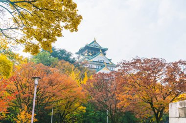 Osaka Kalesi, güzel mimari 