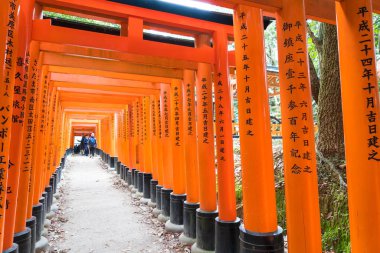 Kyoto - 24 Kasım 2016: Yakın ağ geçitleri Fushimi Inari Taisha Shr içinde