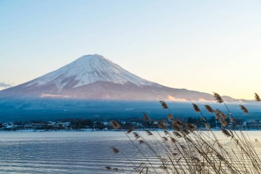 Dağ Fuji San Kawaguchiko Gölü.
