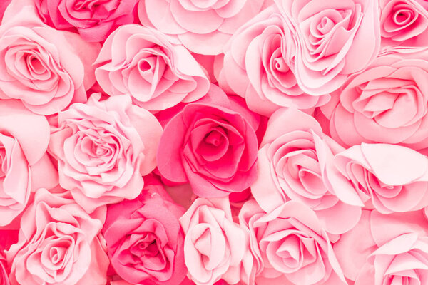 beautiful rose background