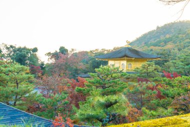 Kinkakuji Tapınağı (altın köşk güzel mimari)