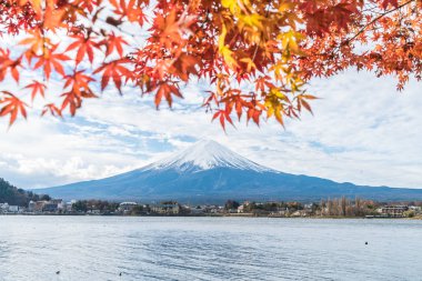 Japonya 'daki Kawaguchiko Gölü' nde Fuji Dağı..