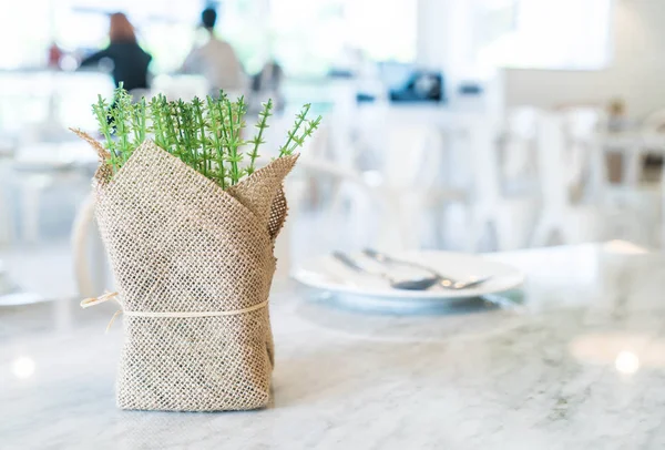 Yemek masada bitki — Stok fotoğraf