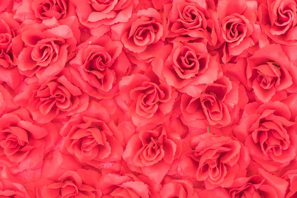 Plastic rose background — Stock Photo, Image