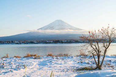 Dağ Fuji San Kawaguchiko Gölü.