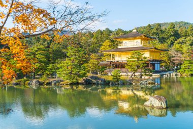 Kinkakuji Tapınağı (altın köşk güzel mimari)