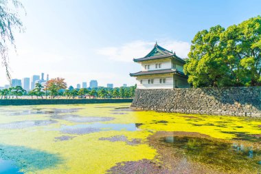 Tokyo'da bina güzel İmparatorluk Sarayı
