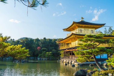Kinkakuji Tapınağı (altın köşk güzel mimari)