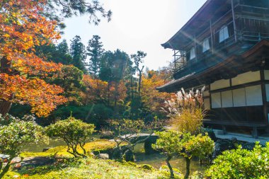 Gümüş Pavilion Ginkakuji Tapınağı'nda güzel mimari