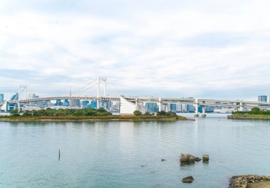 Tokyo siluetinin Tokyo kule ve Gökkuşağı Köprüsü ile. 