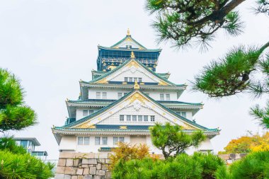 Osaka Kalesi, güzel mimari 