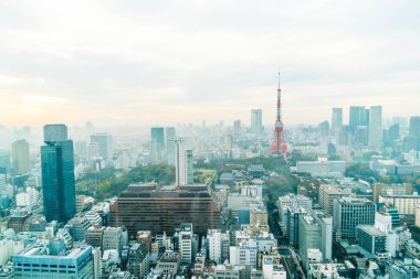 Tokyo şehir manzarası alacakaranlıkta