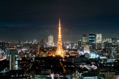 Tokyo şehir manzarası alacakaranlıkta