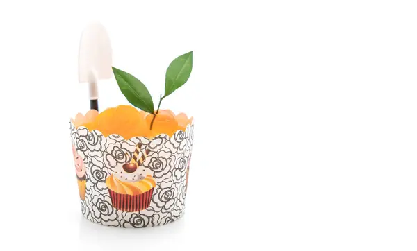 Oranje cup-cake — Stockfoto