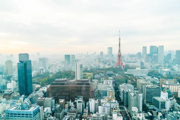 Tokyo şehir manzarası alacakaranlıkta
