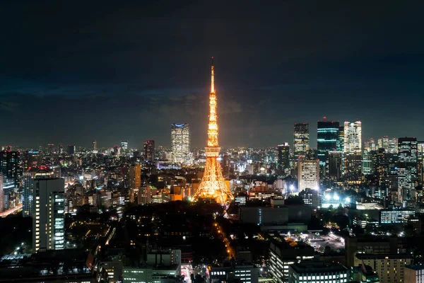 Tokyo şehir manzarası alacakaranlıkta