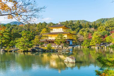 Kinkakuji Tapınağı (altın köşk güzel mimari)