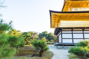 Kinkakuji Tapınağı (altın köşk güzel mimari)
