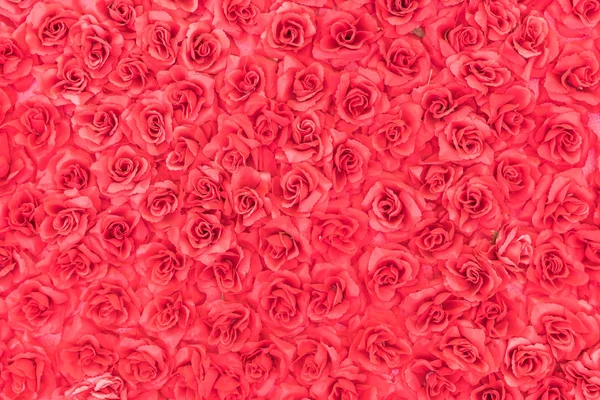 Plastic rose background — Stock Photo, Image