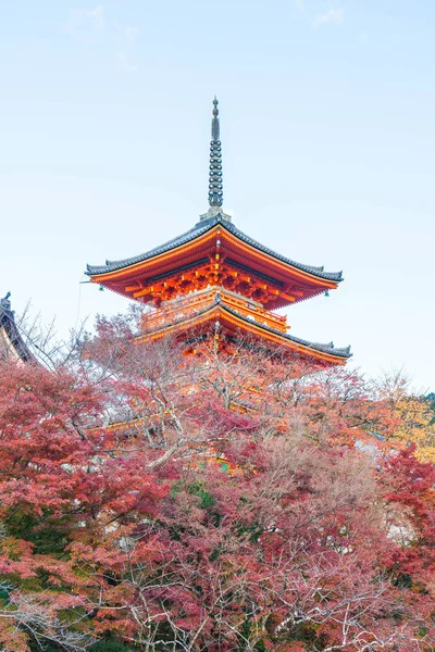 Kiyomizu-dera Tapınağı güzel mimari Kyoto,.