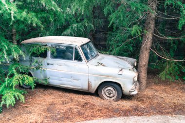 Osaka, Japonya - 21 Kasım 2016: Harry Potter ve büyücü dünya