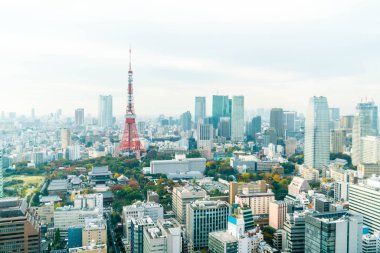 Tokyo şehir manzarası alacakaranlıkta