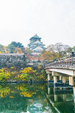 Osaka, Japonya - Kasım 20: Osaka Kalesi Park'ta kalabalık ziyaretçi. Ben