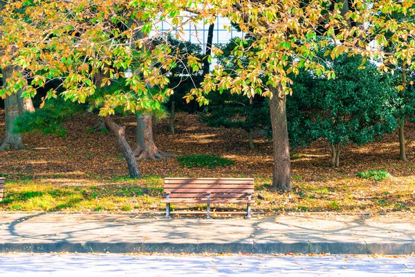 Sonbahar parkında tezgah.