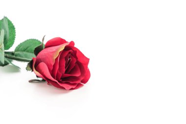 kırmızı plastik gül