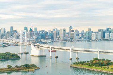 Tokyo siluetinin Tokyo kule ve Gökkuşağı Köprüsü ile. 